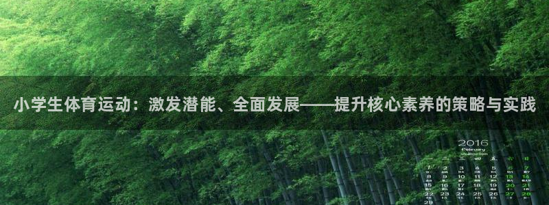 凯发官方正版app集团简介：小学生体育运动：激发潜能