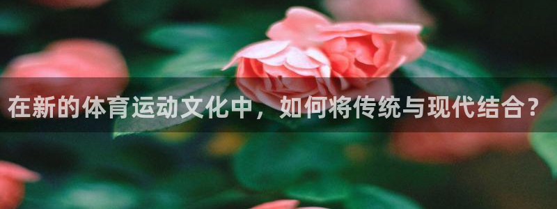 凯发官网下载软件：在新的体育运动文化中，如何将传统与