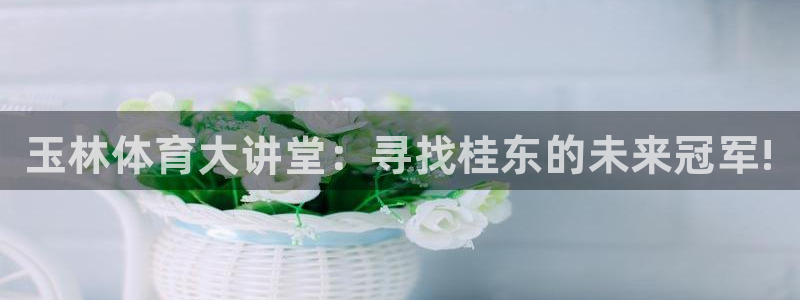 凯发官方正版app开户：玉林体育大讲堂：寻找桂东的未来冠军!