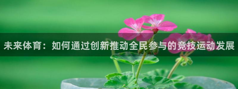 凯发官网下载平台注册流程图：未来体育：如何通过创新推