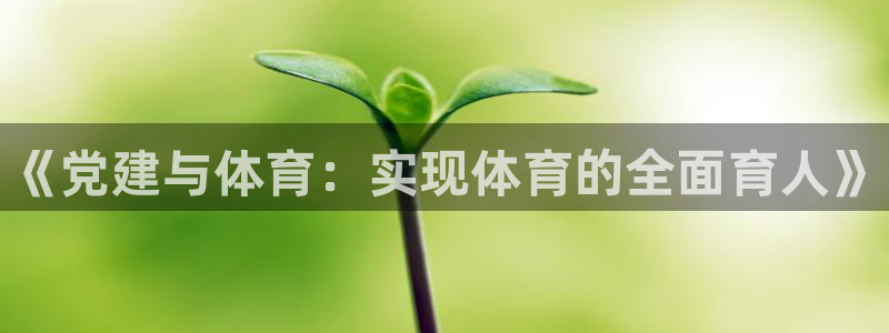 凯发官方正版app集团简介：《党建与体育：实现体育的