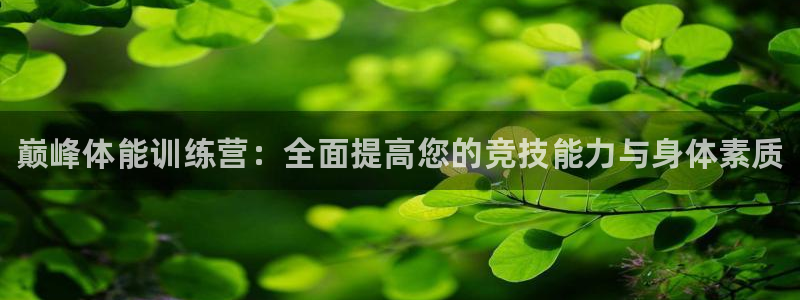 凯发官网下载平台注册流程图：巅峰体能训练营：全面提高