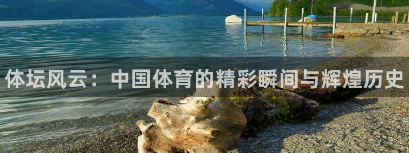 凯发官方正版app科技：体坛风云：中国体育的精彩瞬间