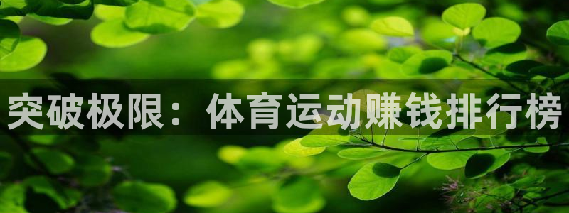 凯发官方正版app代理：突破极限：体育运动赚钱排行榜