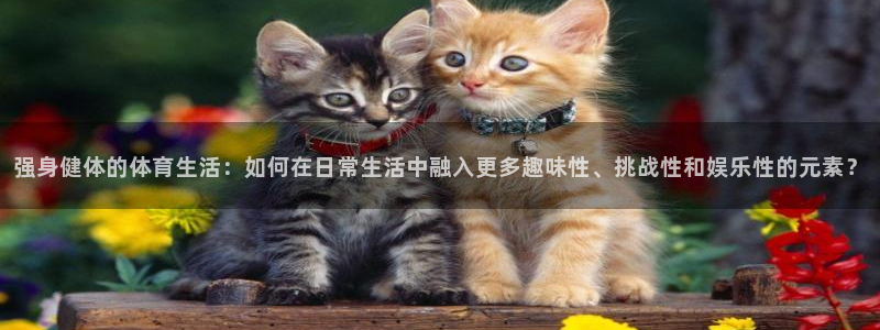 凯发官方集团官网：强身健体的体育生活：如何在日常生活