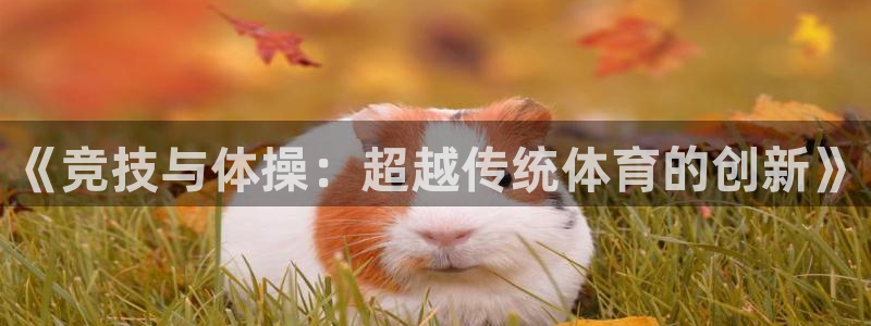凯发官网下载招商：《竞技与体操：超越传统体育的创新》