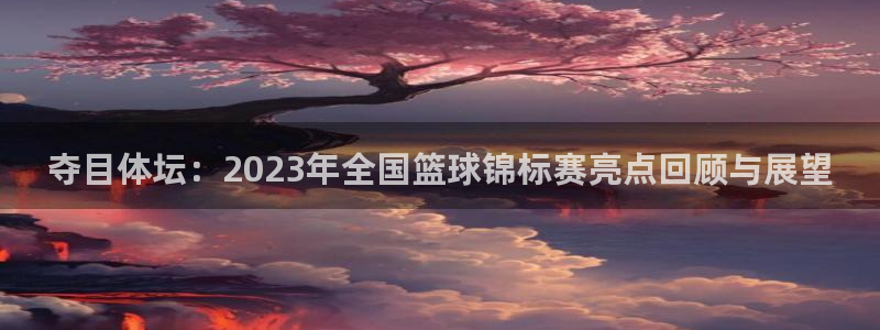 凯发官方正版app娱乐：夺目体坛：2023年全国篮球