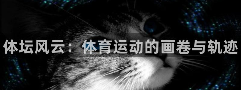 凯发官网下载招商：体坛风云：体育运动的画卷与轨迹