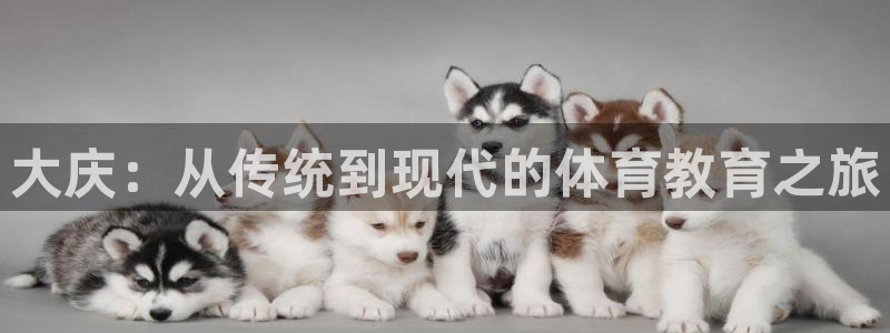 凯发官网下载招商电话号码是多少：大庆：从传统到现代的体育教育