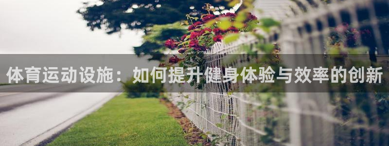 凯发官网下载平台注册：体育运动设施：如何提升健身体验与效率的