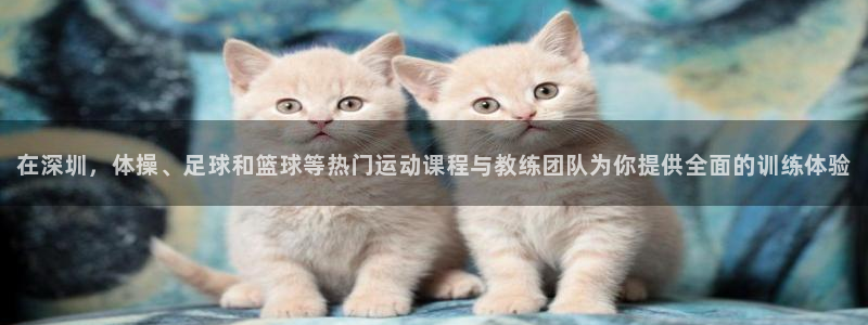 凯发官网下载招商电话号码是多少啊：在深圳，体操、足球和篮球等