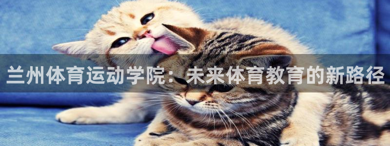 凯发官方正版app集团logo
