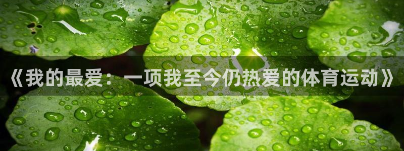 凯发官方正版app集团简介