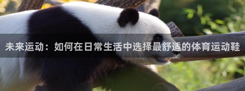 凯发官网下载娱乐：未来运动：如何在日常生活中选择最舒适的体育