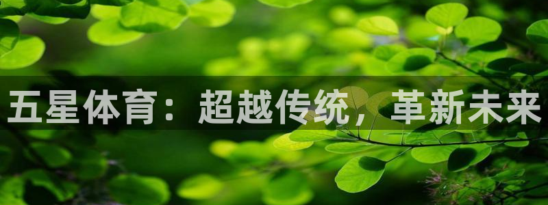 凯发官方正版app娱乐首页网站大全