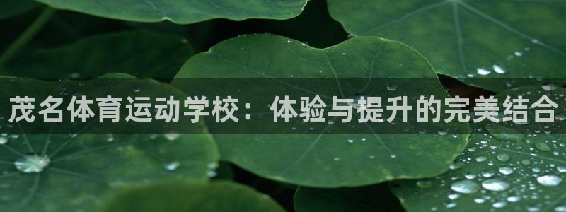 凯发官方正版app娱乐平台：茂名体育运动学校：体验与提升的完