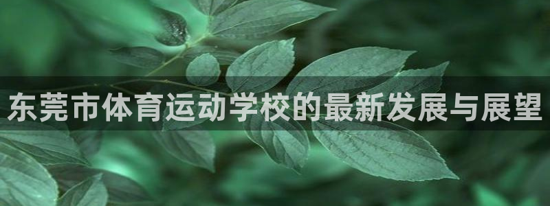 凯发官网下载招商电话是多少号码：东莞市体育运动学校的最新发展
