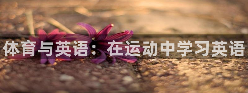 凯发官网下载是干嘛的公司：体育与英语：在运动中学习英语