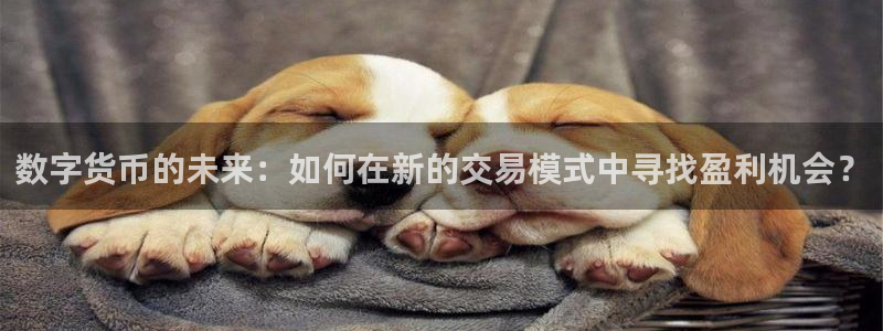 乐球直播免费观看高清版2023：数字货币的未来：如何在新的交易模式中寻找盈利机会？