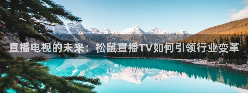 nba直播 乐球