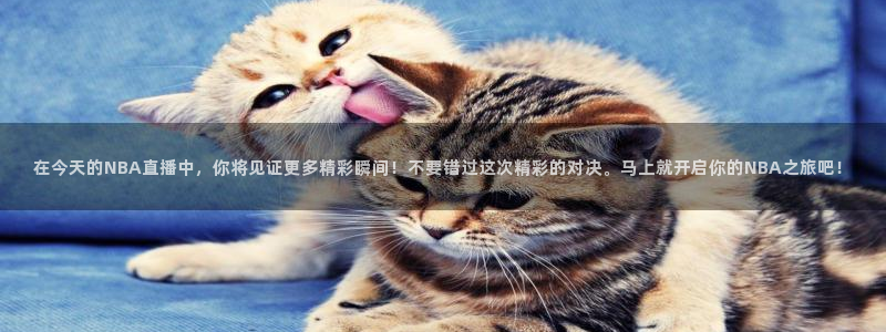 乐球体育直播吧