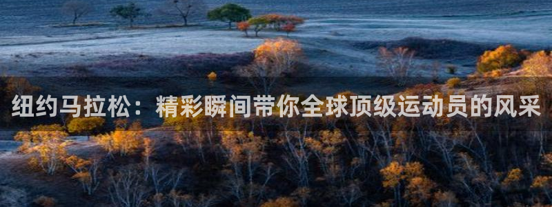 乐球直播即时直播：纽约马拉松：精彩瞬间带你全球顶级运动员的风采