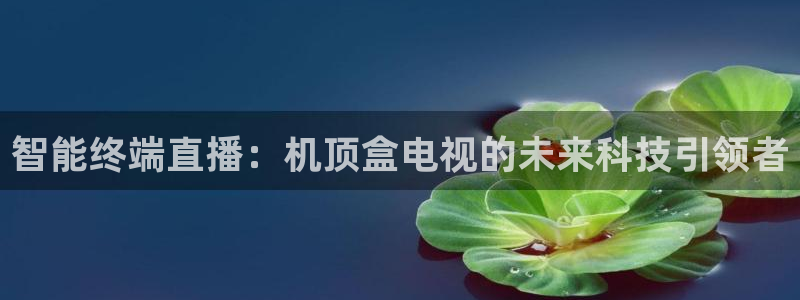乐球直播网页版入口：智能终端直播：机顶盒电视的未来科技引领者