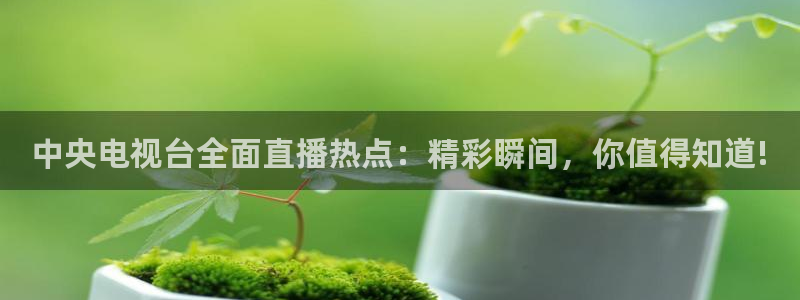 乐球直播网页：中央电视台全面直播热点：精彩瞬间，你值得知道!